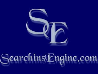 SearchinsEngine.com Professional Website Services